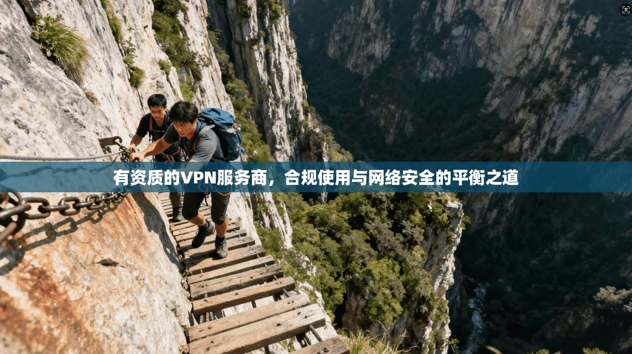 有资质的VPN服务商，合规使用与网络安全的平衡之道