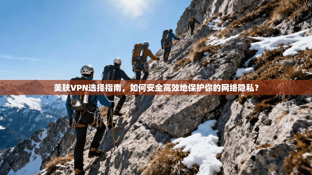 美肤VPN选择指南，如何安全高效地保护你的网络隐私？
