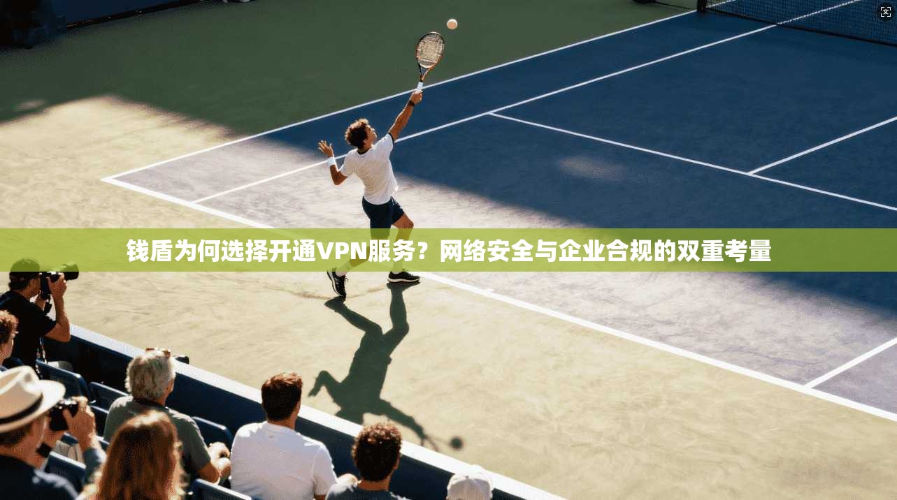 钱盾为何选择开通VPN服务?网络安全与企业合规的双重考量 钱盾为何选择开通VPN服务?网络安全与企业合规的双重考量