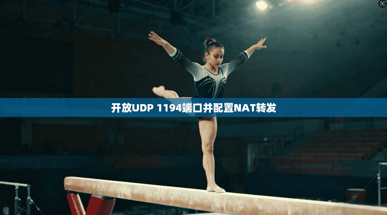 开放UDP 1194端口并配置NAT转发