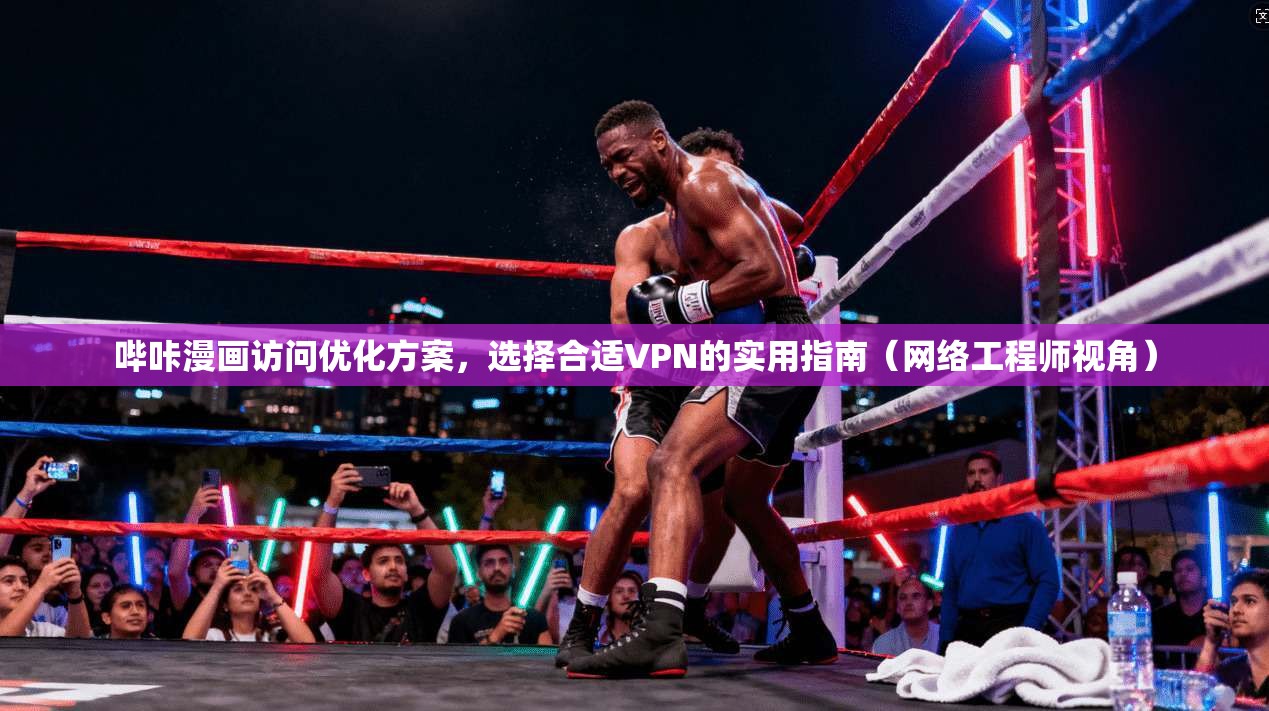 哔咔漫画访问优化方案，选择合适VPN的实用指南（网络工程师视角）
