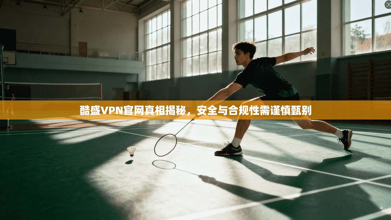 酷盛VPN官网真相揭秘，安全与合规性需谨慎甄别