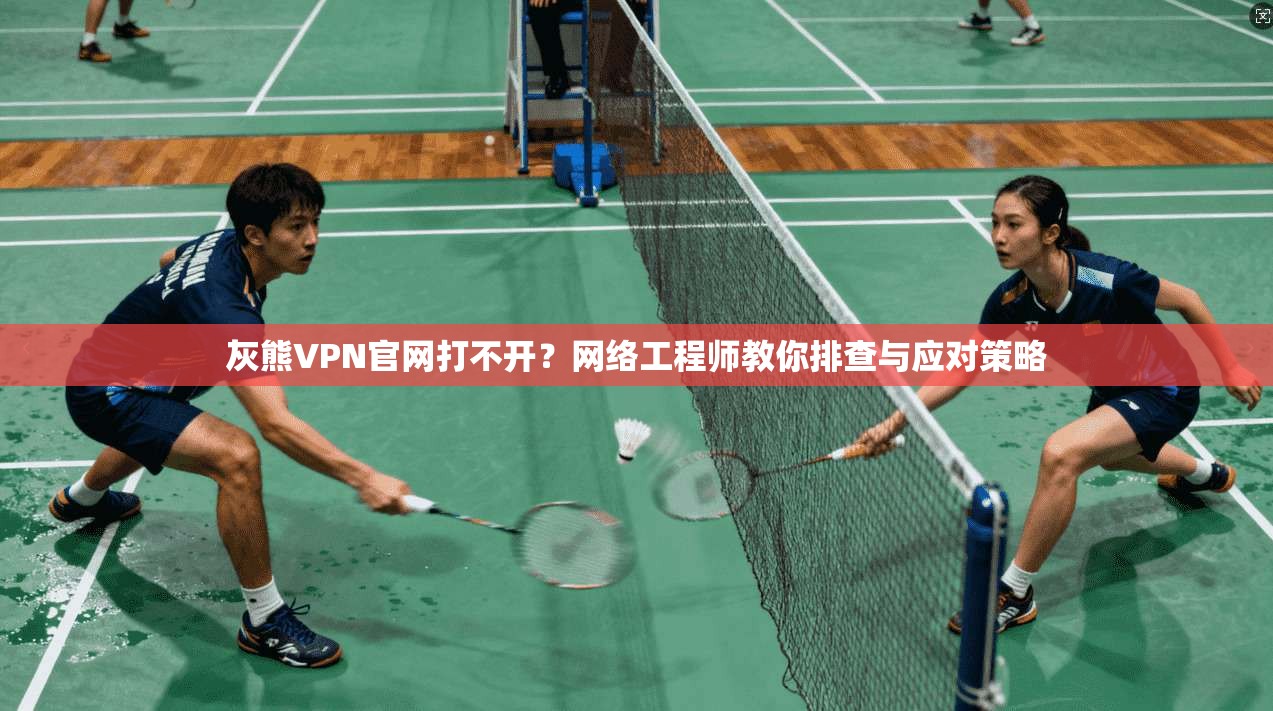 灰熊VPN官网打不开？网络工程师教你排查与应对策略