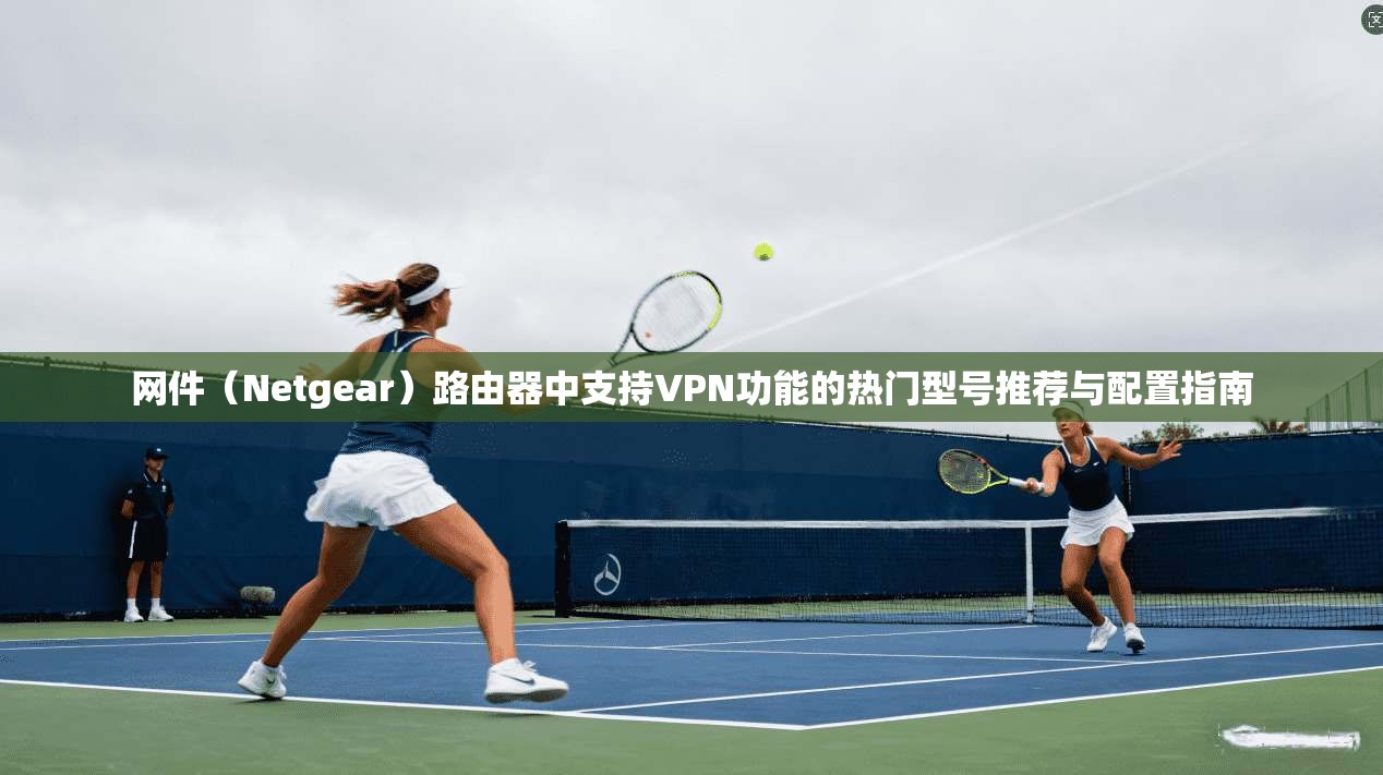 网件（Netgear）路由器中支持VPN功能的热门型号推荐与配置指南