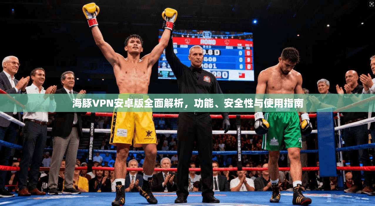 海豚VPN安卓版全面解析，功能、安全性与使用指南