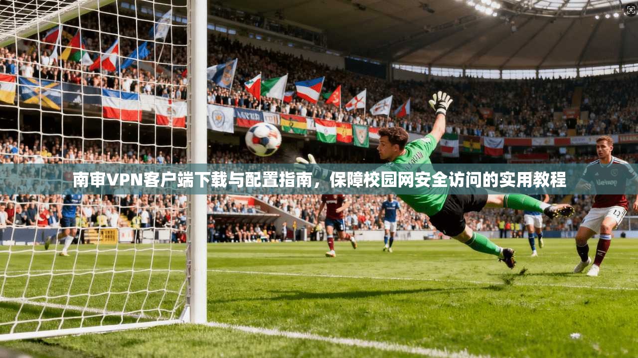 南审VPN客户端下载与配置指南，保障校园网安全访问的实用教程