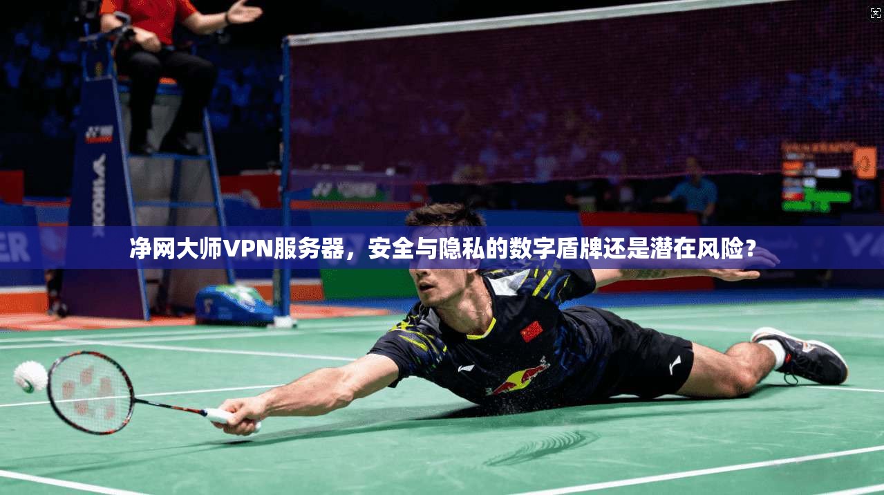 净网大师VPN服务器，安全与隐私的数字盾牌还是潜在风险？