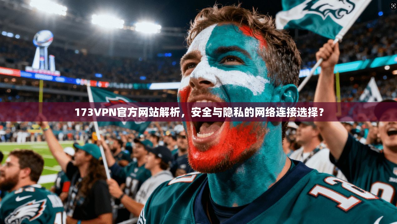 173VPN官方网站解析，安全与隐私的网络连接选择？