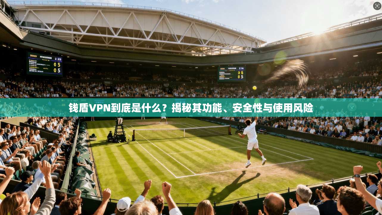 钱盾VPN到底是什么？揭秘其功能、安全性与使用风险