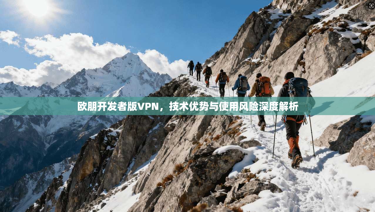 欧朋开发者版VPN，技术优势与使用风险深度解析