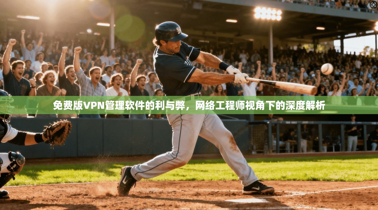 免费版VPN管理软件的利与弊，网络工程师视角下的深度解析