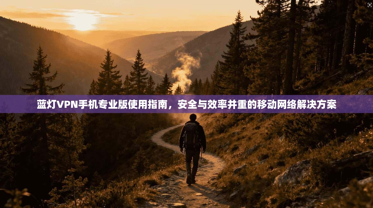 蓝灯VPN手机专业版使用指南，安全与效率并重的移动网络解决方案