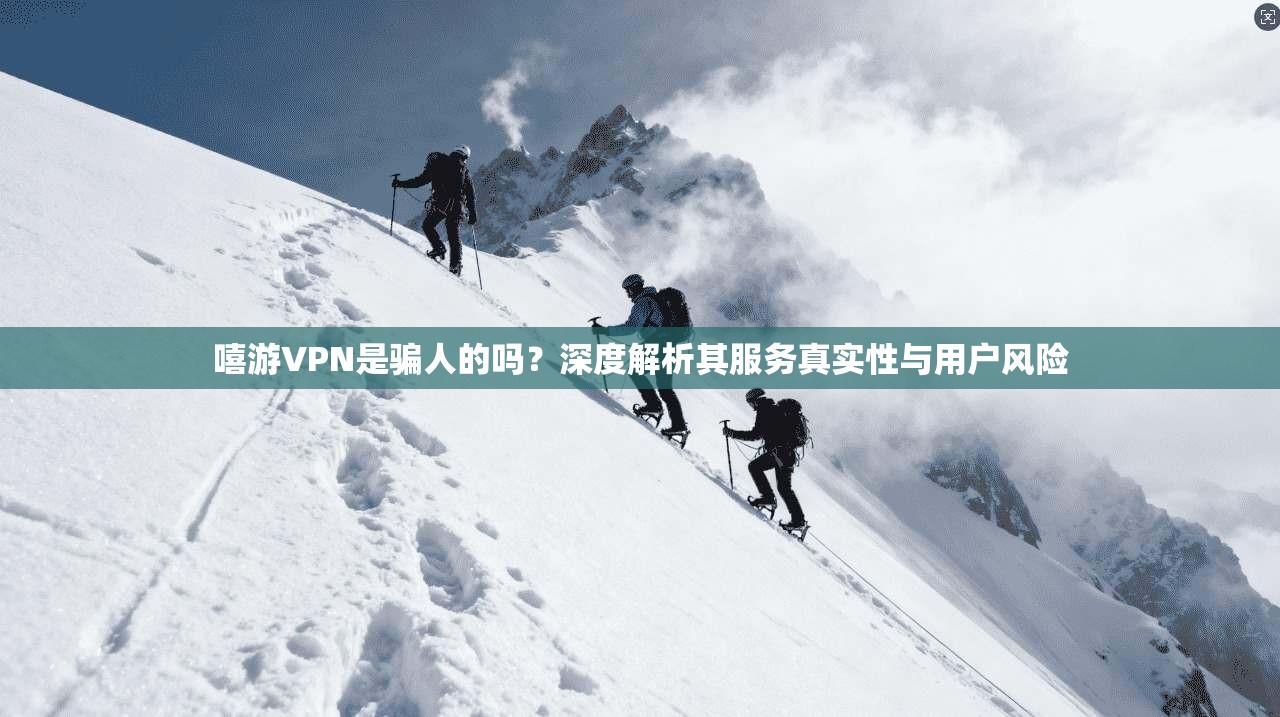 嘻游VPN是骗人的吗？深度解析其服务真实性与用户风险