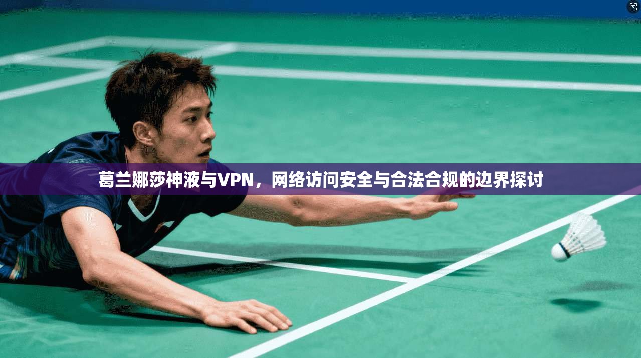 葛兰娜莎神液与VPN，网络访问安全与合法合规的边界探讨