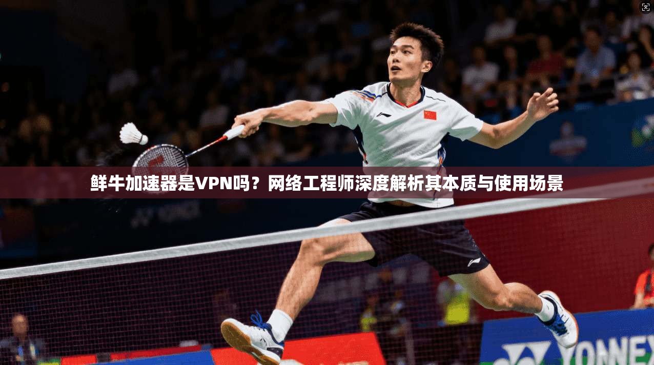 鲜牛加速器是VPN吗？网络工程师深度解析其本质与使用场景
