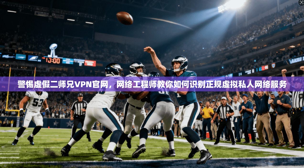 警惕虚假二师兄VPN官网，网络工程师教你如何识别正规虚拟私人网络服务