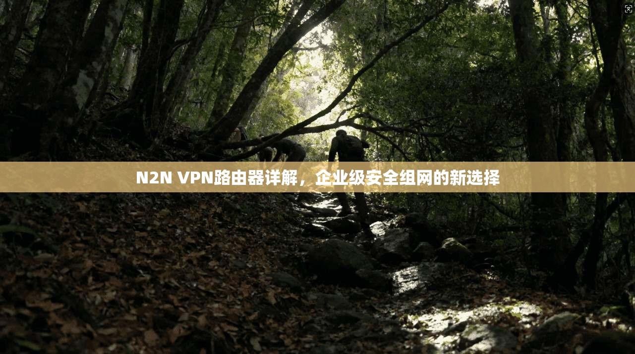 N2N VPN路由器详解，企业级安全组网的新选择