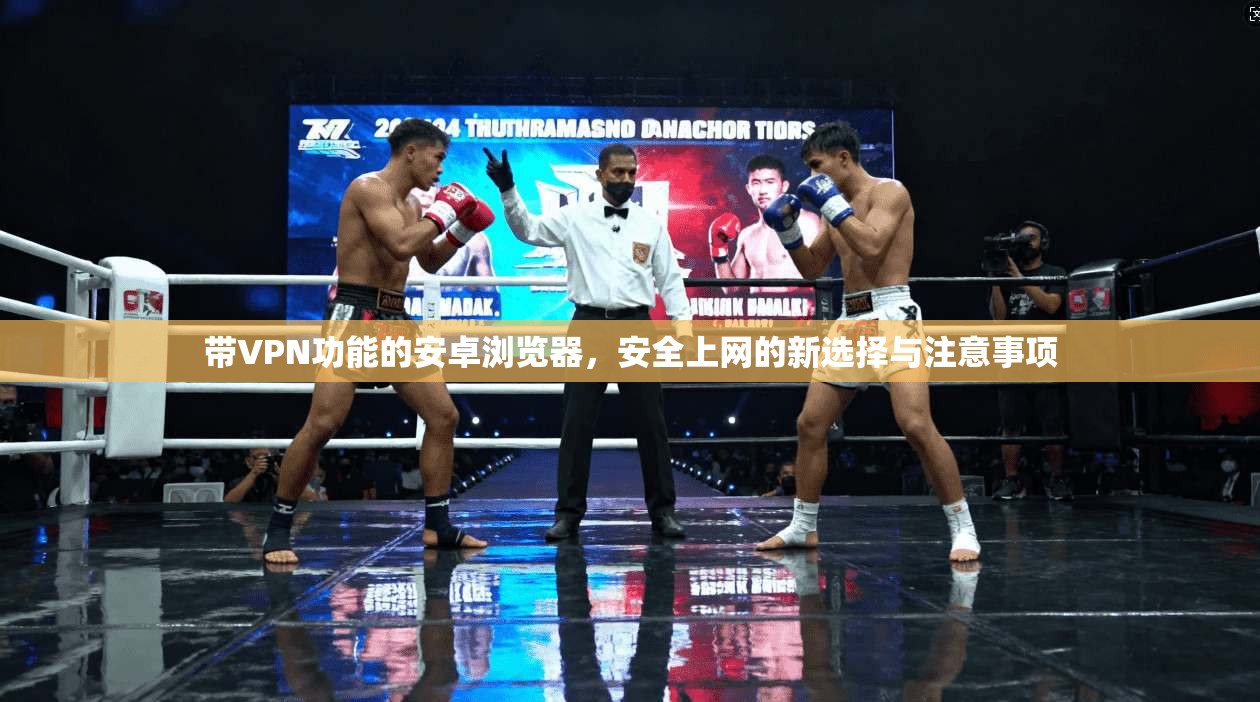 带VPN功能的安卓浏览器，安全上网的新选择与注意事项
