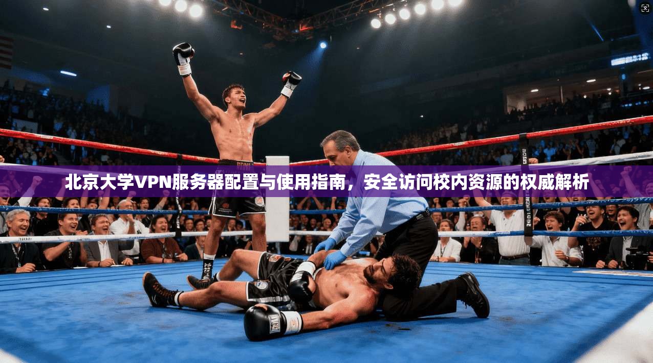 北京大学VPN服务器配置与使用指南，安全访问校内资源的权威解析