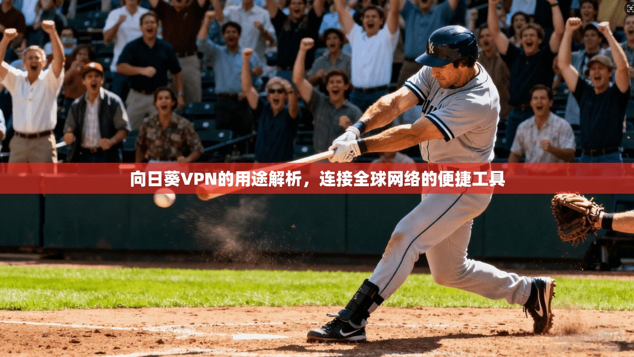 向日葵VPN的用途解析，连接全球网络的便捷工具