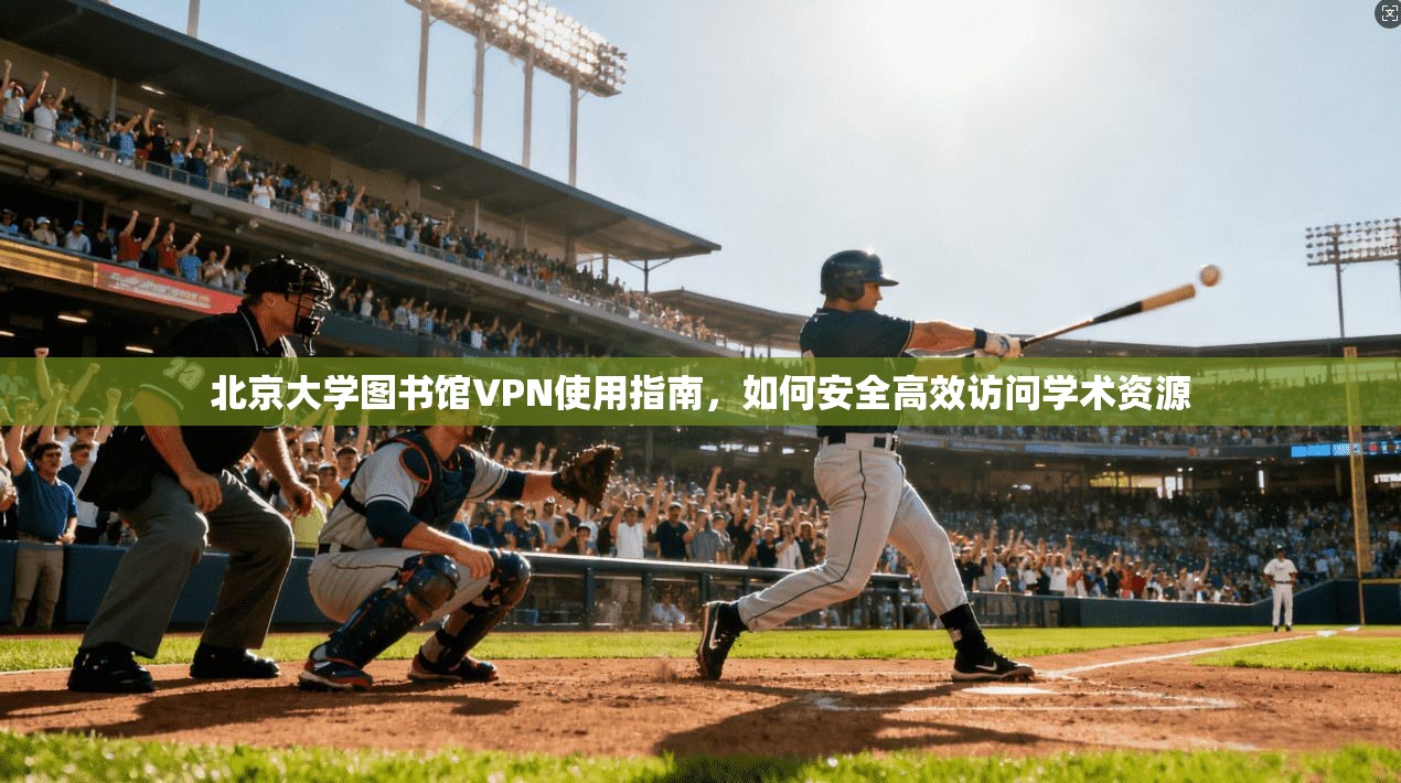 北京大学图书馆VPN使用指南，如何安全高效访问学术资源