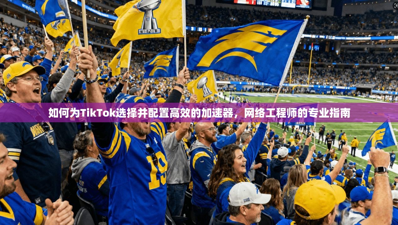如何为TikTok选择并配置高效的加速器，网络工程师的专业指南