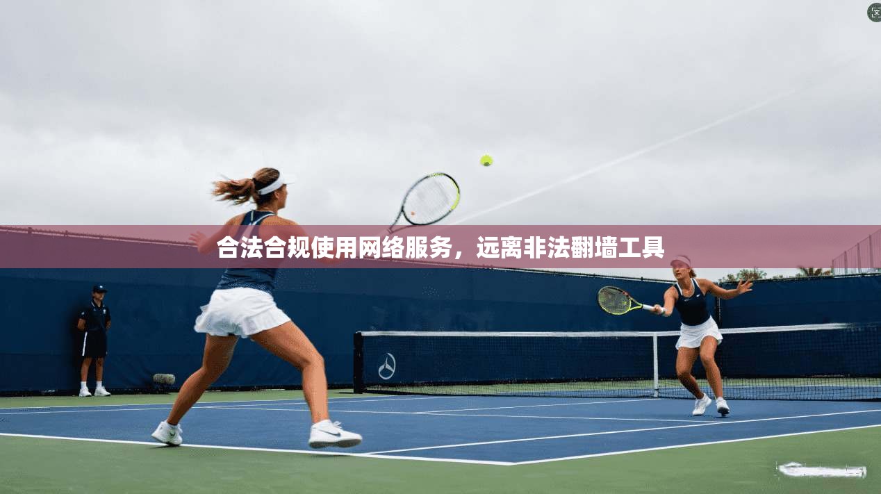 合法合规使用网络服务，远离非法翻墙工具