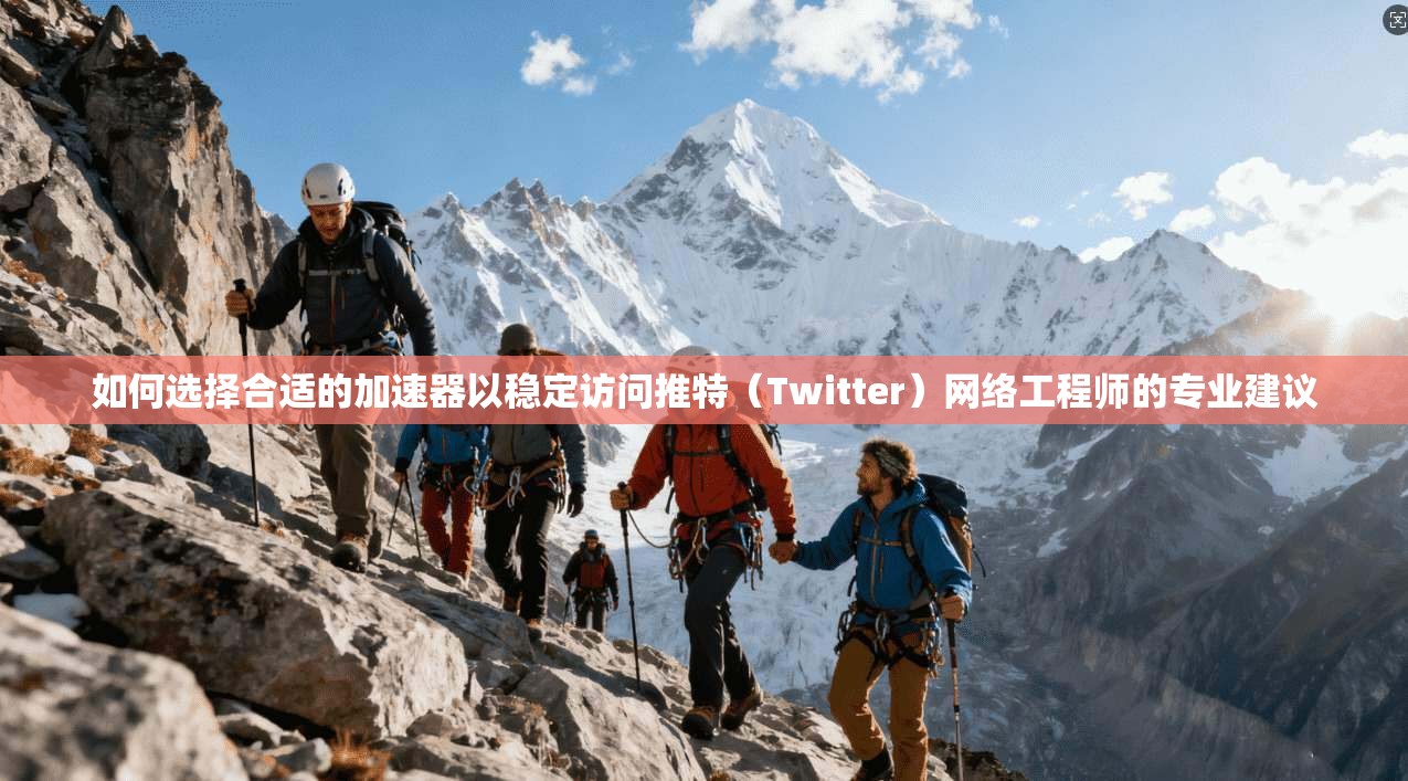 如何选择合适的加速器以稳定访问推特（Twitter）网络工程师的专业建议
