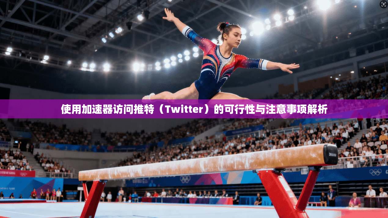 使用加速器访问推特（Twitter）的可行性与注意事项解析