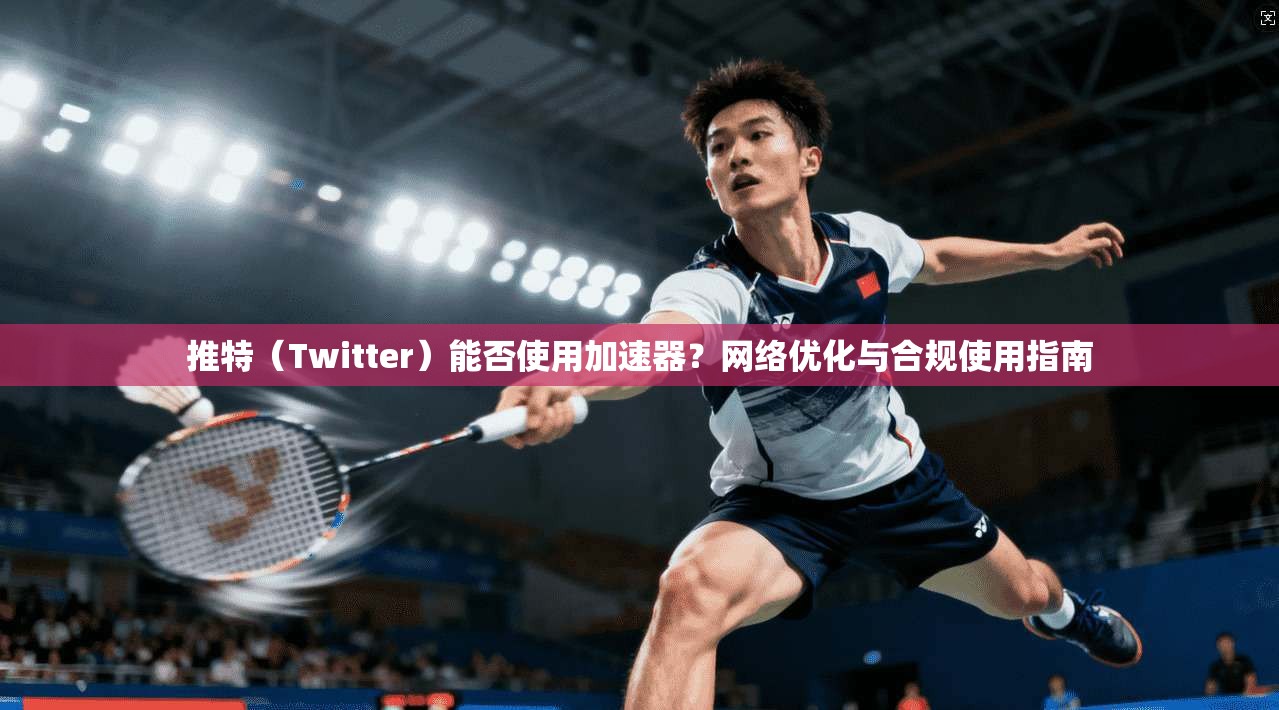 推特（Twitter）能否使用加速器？网络优化与合规使用指南