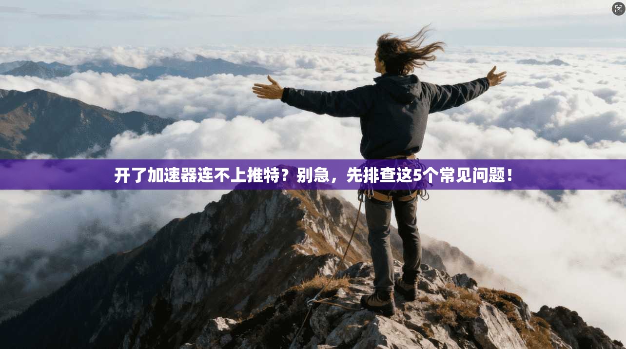 开了加速器连不上推特？别急，先排查这5个常见问题！