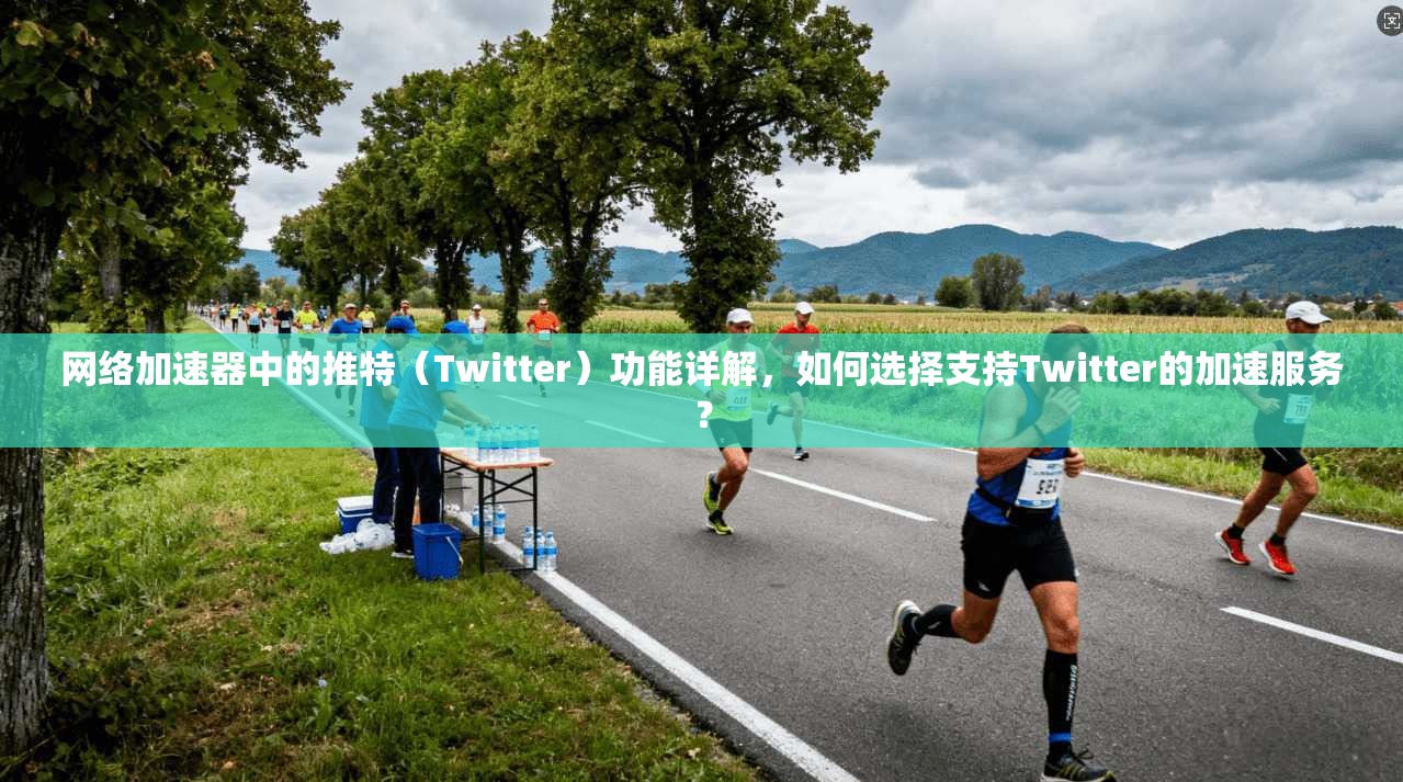 网络加速器中的推特（Twitter）功能详解，如何选择支持Twitter的加速服务？