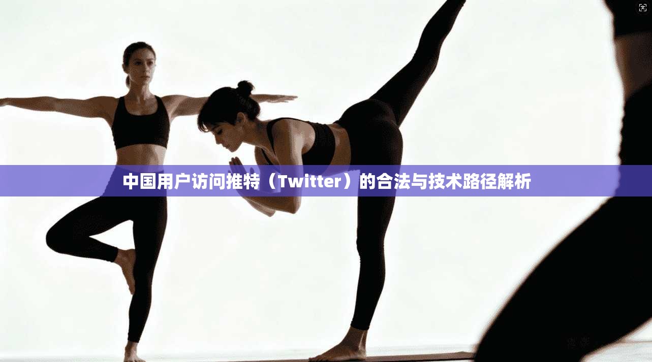 中国用户访问推特（Twitter）的合法与技术路径解析
