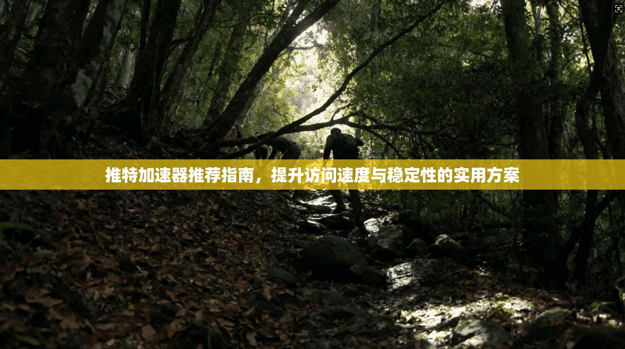 推特加速器推荐指南，提升访问速度与稳定性的实用方案