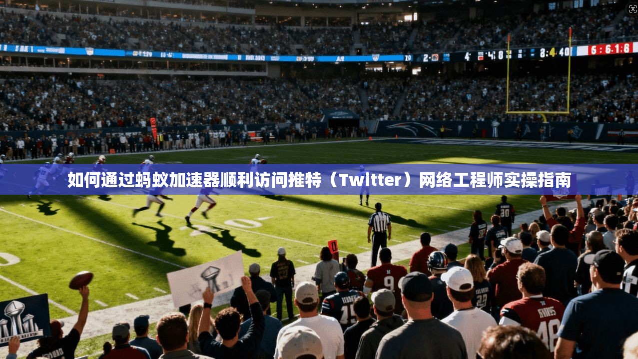 如何通过蚂蚁加速器顺利访问推特（Twitter）网络工程师实操指南