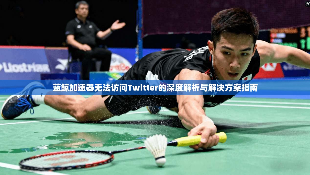蓝鲸加速器无法访问Twitter的深度解析与解决方案指南
