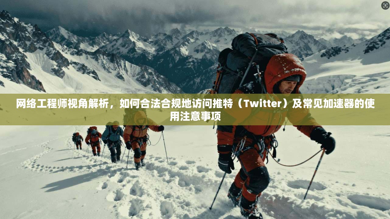 网络工程师视角解析，如何合法合规地访问推特（Twitter）及常见加速器的使用注意事项
