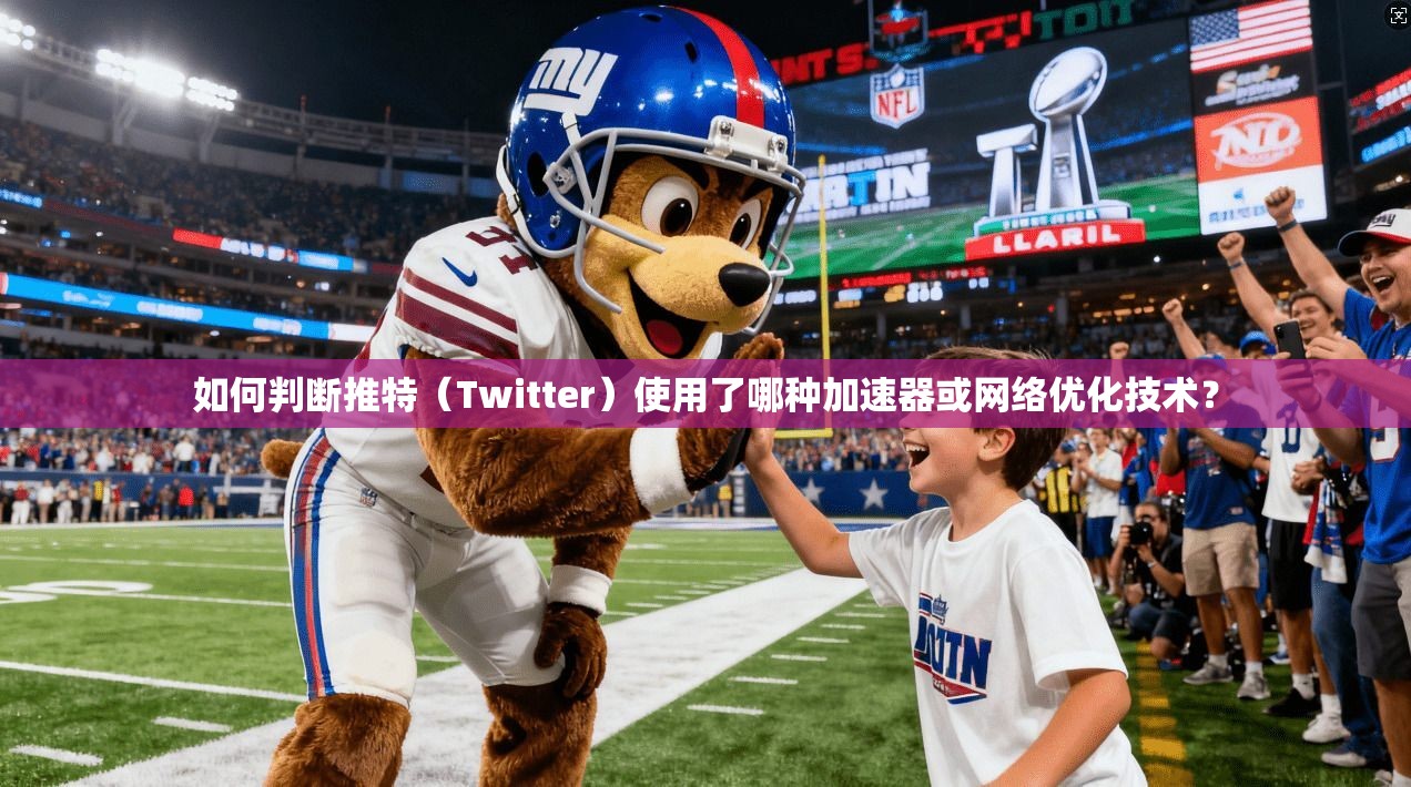 如何判断推特（Twitter）使用了哪种加速器或网络优化技术？