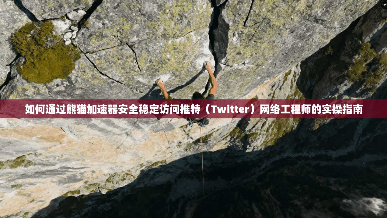 如何通过熊猫加速器安全稳定访问推特（Twitter）网络工程师的实操指南