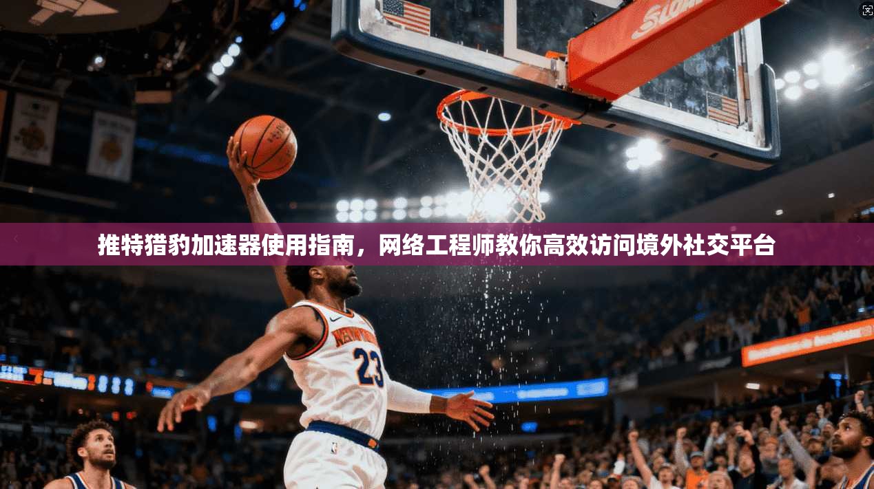 推特猎豹加速器使用指南，网络工程师教你高效访问境外社交平台