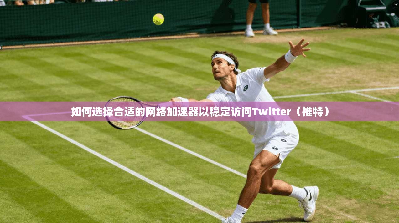 如何选择合适的网络加速器以稳定访问Twitter（推特）