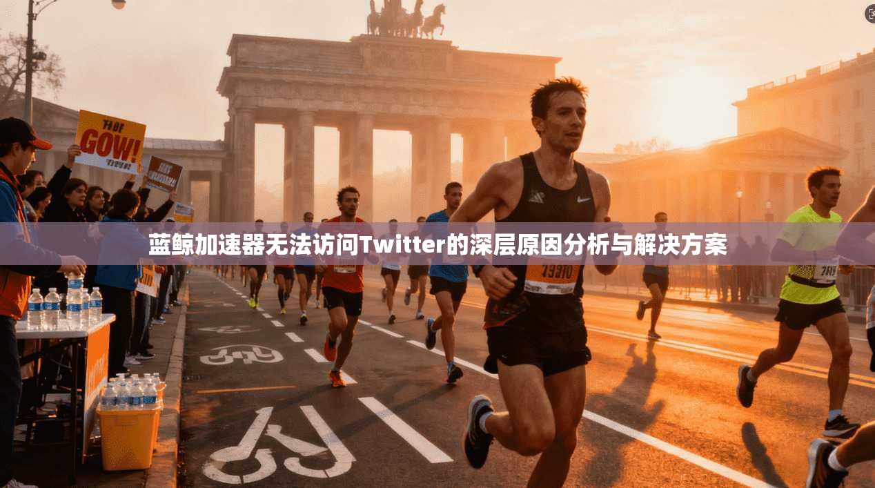 蓝鲸加速器无法访问Twitter的深层原因分析与解决方案