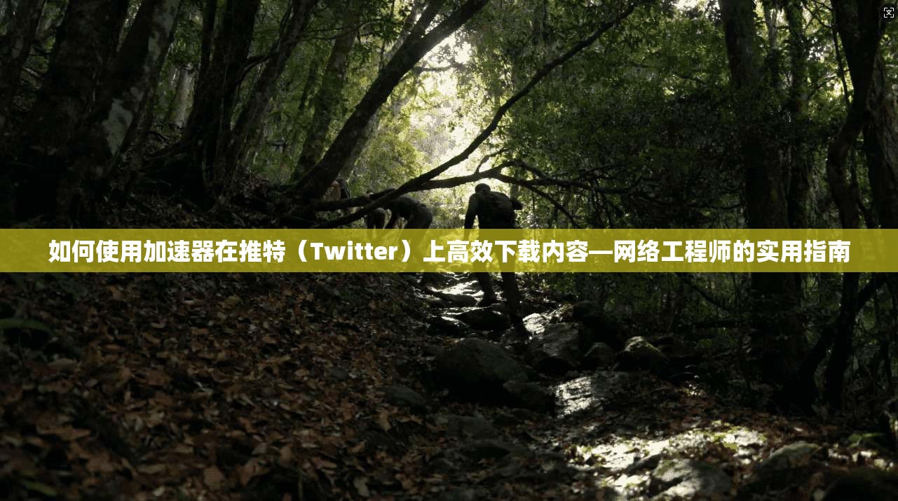 如何使用加速器在推特（Twitter）上高效下载内容—网络工程师的实用指南