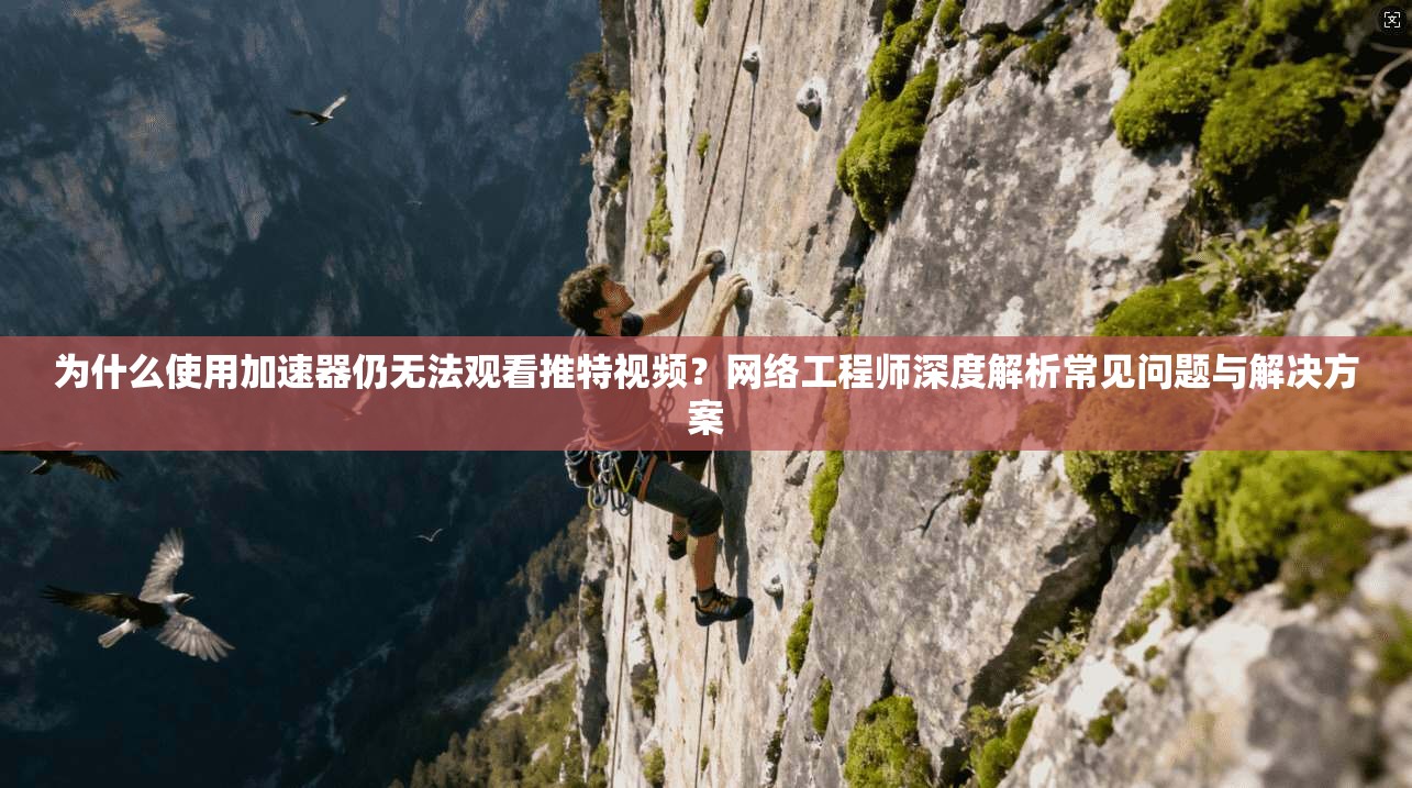 为什么使用加速器仍无法观看推特视频？网络工程师深度解析常见问题与解决方案