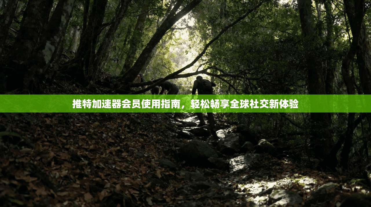 推特加速器会员使用指南，轻松畅享全球社交新体验