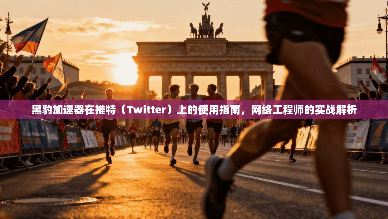 黑豹加速器在推特（Twitter）上的使用指南，网络工程师的实战解析