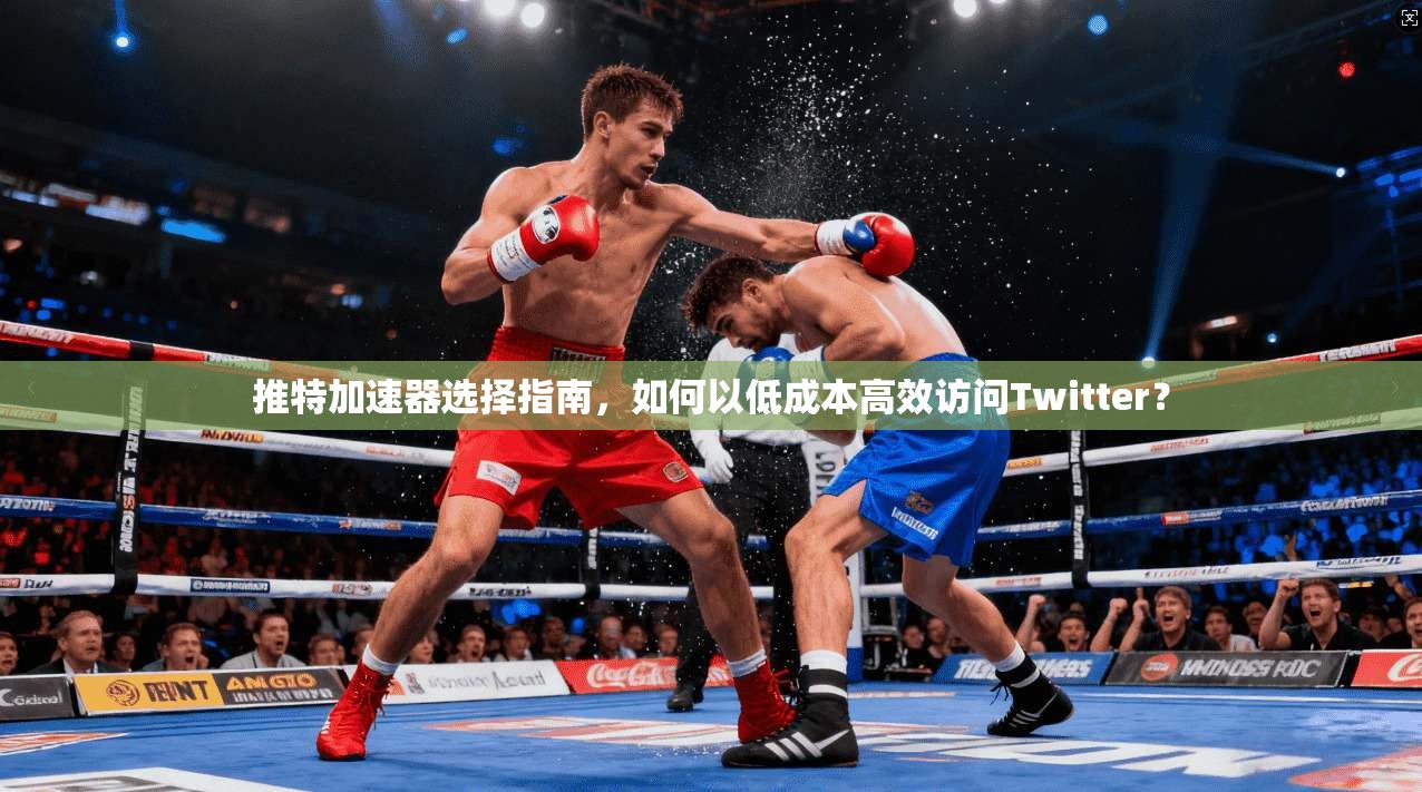 推特加速器选择指南，如何以低成本高效访问Twitter？