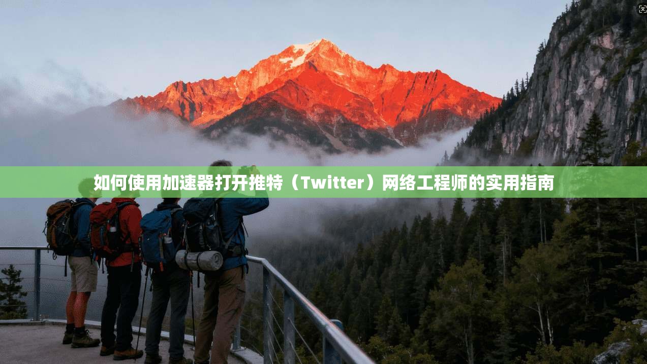 如何使用加速器打开推特（Twitter）网络工程师的实用指南