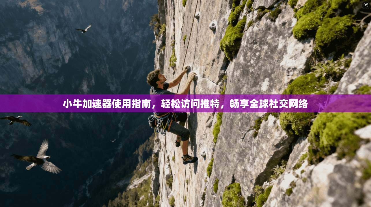小牛加速器使用指南，轻松访问推特，畅享全球社交网络