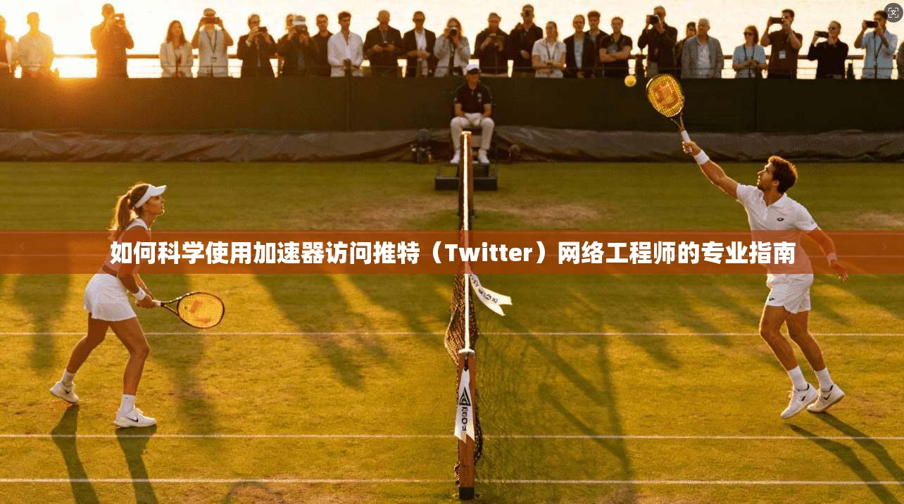 如何科学使用加速器访问推特（Twitter）网络工程师的专业指南